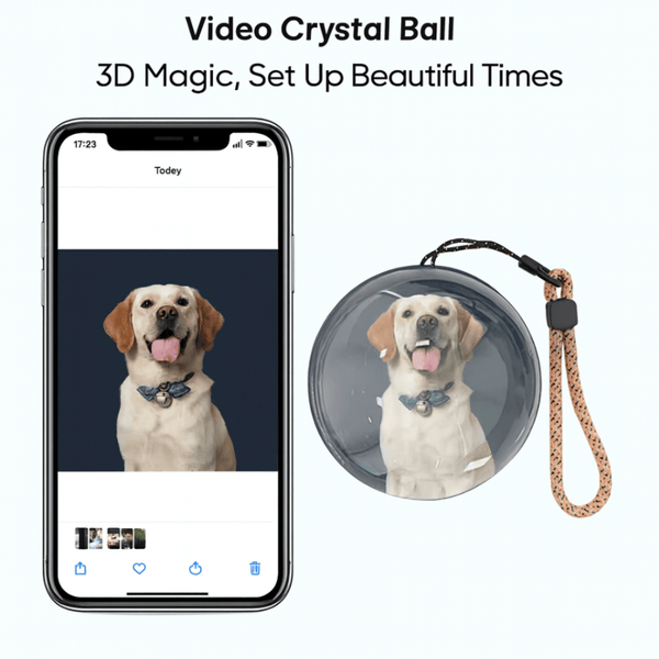 Magic Video Crystal Ball