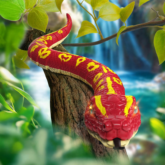 Remote-Control Royal Python