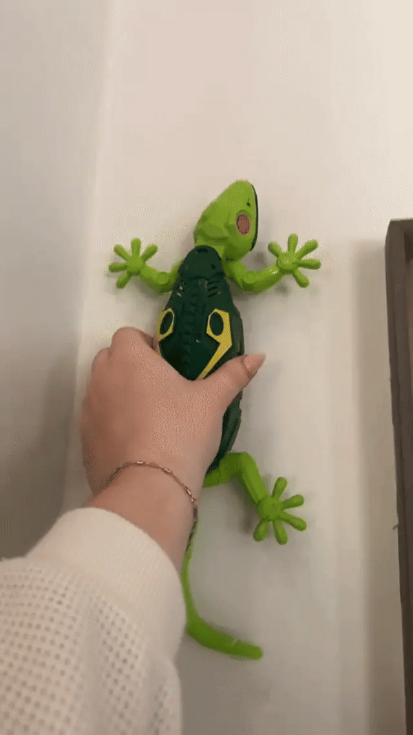 Gecko Fun Wall Crawler